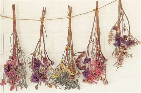 How to Hang Flowers Upside Down and Why It Might Just Save Your Sanity