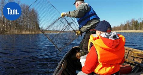  Pauri – Onko se sittenkään maa-ahven vai monijalkainen kummitus? 