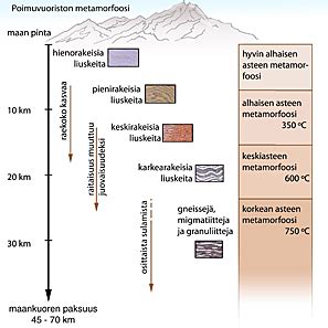 Salamaantiska! Kuivan maaperän asukki ja hämmästyttävä piilotellen elävän metamorfoosi!