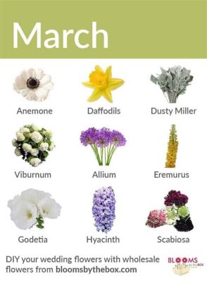 What Flowers Are in Season in March: A Blooming Discussion on Spring's Palette