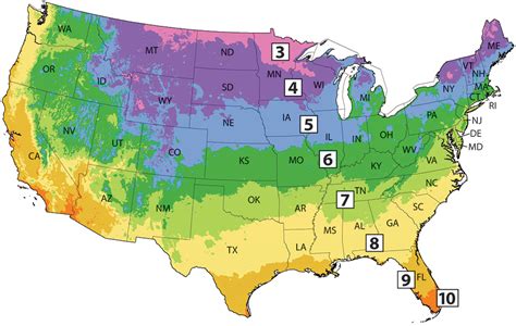 What Gardening Zone is Michigan: A Journey Through Climate and Creativity