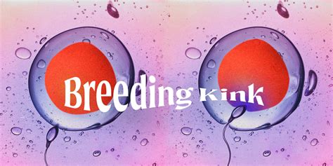 Whats a breeding kink, and why does it spark such heated debates in modern relationships?