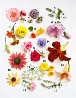 Where to Buy Edible Flowers: A Journey Through Flavor and Aesthetics