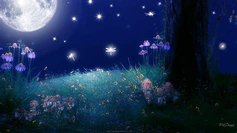 Why Do Flowers Close at Night: A Dance with the Moon and the Stars